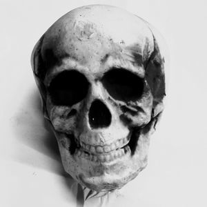 Meet your Posher, Brad